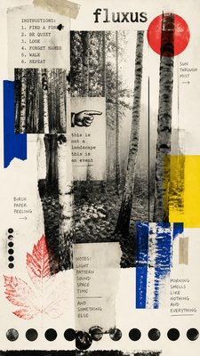 a serene birch forest in soft morning light, no people, no text
