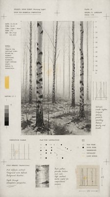 a serene birch forest in soft morning light, no people, no text