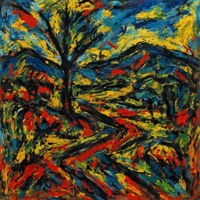 wide landscape with natural scenery