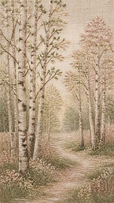 a serene birch forest in soft morning light, no people, no text