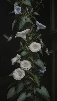 a climbing vine of flowers and hummingbirds on a dark background, tall wrapping composition, no text
