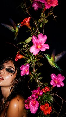 a climbing vine of flowers and hummingbirds on a dark background, tall wrapping composition, no text