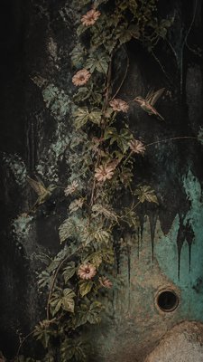 a climbing vine of flowers and hummingbirds on a dark background, tall wrapping composition, no text