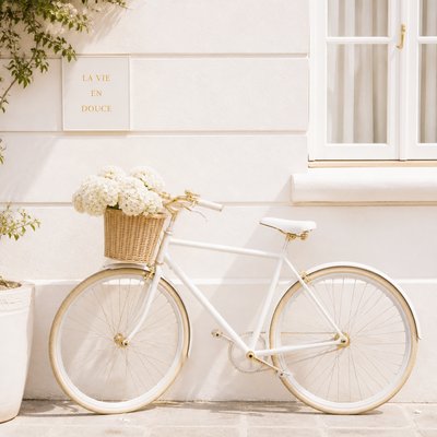 bicyle resting against a wall — Clean Girl Aesthetic