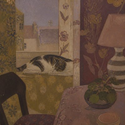 a cat lounging in a sunlit window