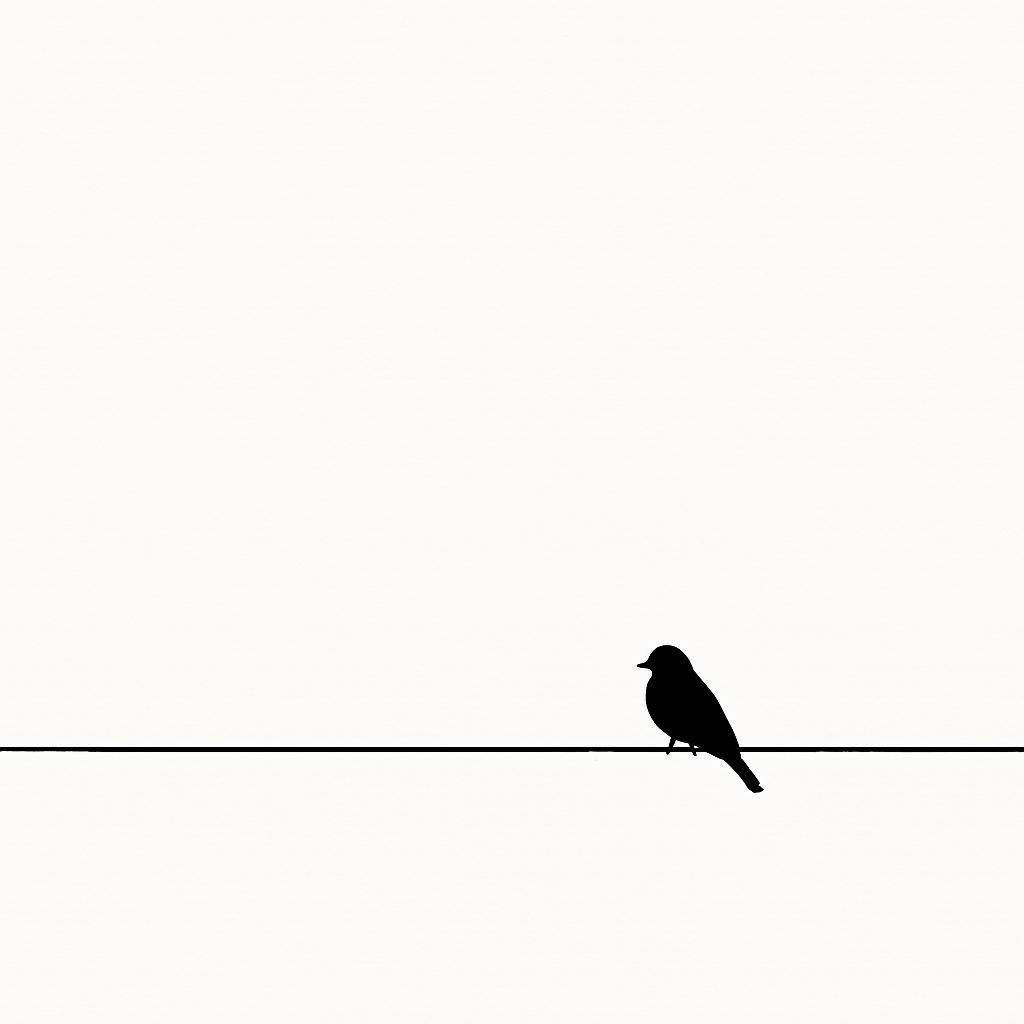 Single bird on wire
