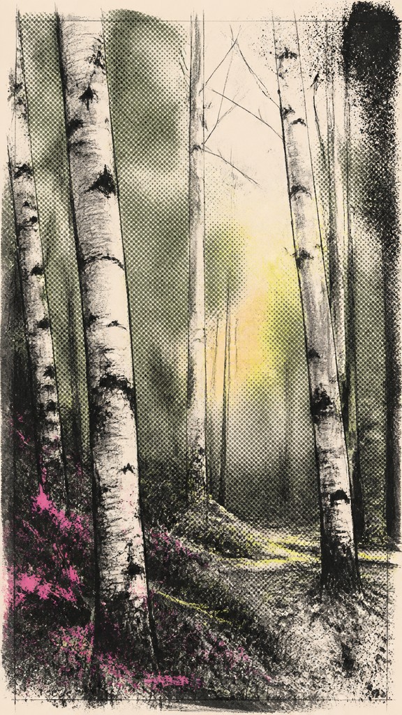 a serene birch forest in soft morning light, no people, no text