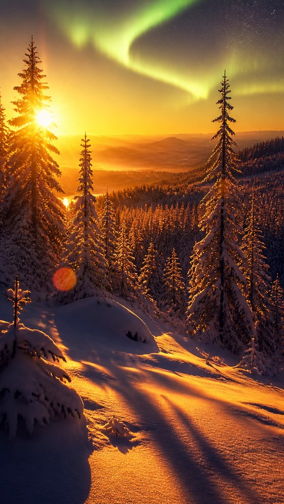 a snowy pine forest under the northern lights, no people