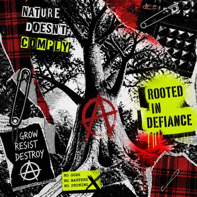 a tree in nature — Punk Aesthetic
