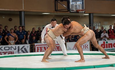 two sumo wrestlers in a ring with a crowd watching