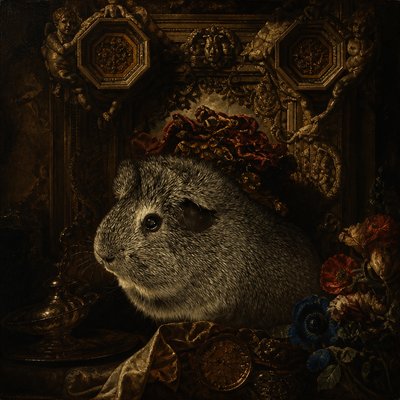 a close up of a rodent wearing a hat