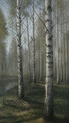 a serene birch forest in soft morning light, no people, no text