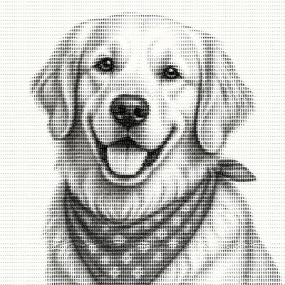 portrait of a golden retriever wearing a blue bandana, warm plain backdrop, no text