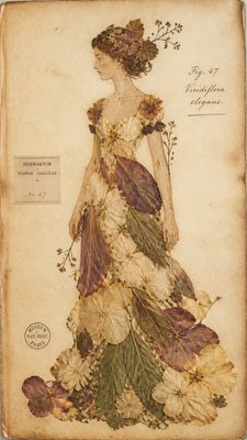 full-length portrait of an elegant figure