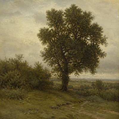 a tree in nature — Barbizon School Art Style