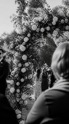 an arch of white roses and eucalyptus in soft morning light, elegant vertical composition with open space, no text