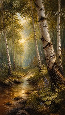 a serene birch forest in soft morning light, no people, no text