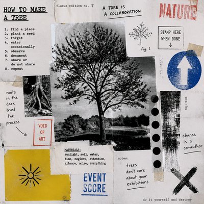 a tree in nature