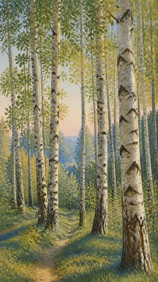 a serene birch forest in soft morning light, no people, no text