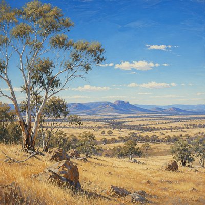 wide landscape with natural scenery