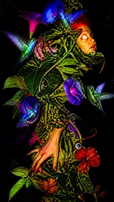 a climbing vine of flowers and hummingbirds on a dark background, tall wrapping composition, no text