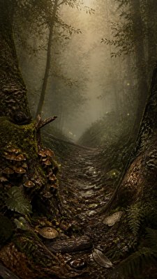 a mysterious forest path with fireflies and drifting mist, atmospheric vertical composition with open space at the top, no text