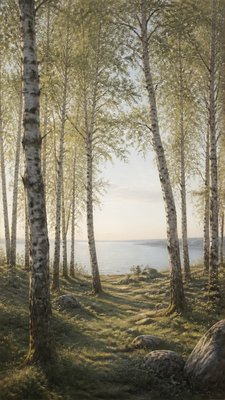 a serene birch forest in soft morning light, no people, no text