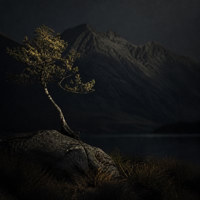 Moody Portrait Photography Style 2
