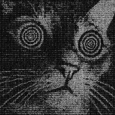 a black and white photo of a cat's face