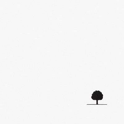 a tree in nature