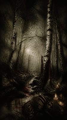 a serene birch forest in soft morning light, no people, no text