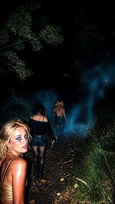 a mysterious forest path with fireflies and drifting mist, atmospheric vertical composition with open space at the top, no text