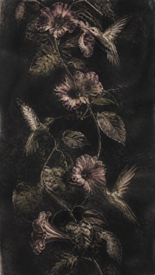 a climbing vine of flowers and hummingbirds on a dark background, tall wrapping composition, no text