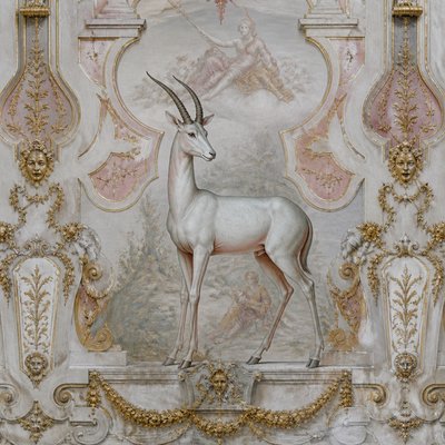 animal standing in natural pose