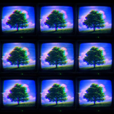 a tree in nature — Video Art Style