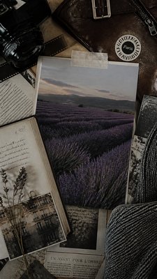 a field of lavender stretching to distant hills at dusk, no people