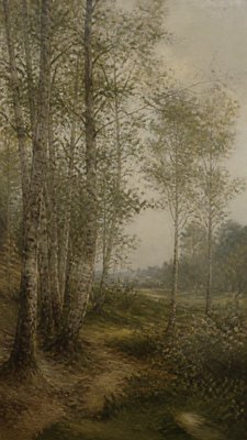 a serene birch forest in soft morning light, no people, no text
