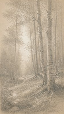 a serene birch forest in soft morning light, no people, no text