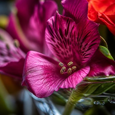 bouquet of flowers in a glass vase