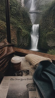 a cascading waterfall in a lush green gorge, no people