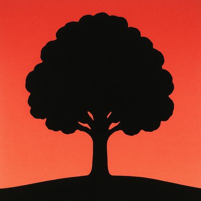 a tree in nature
