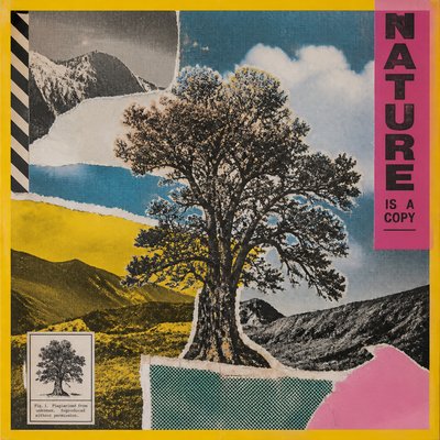 a tree in nature