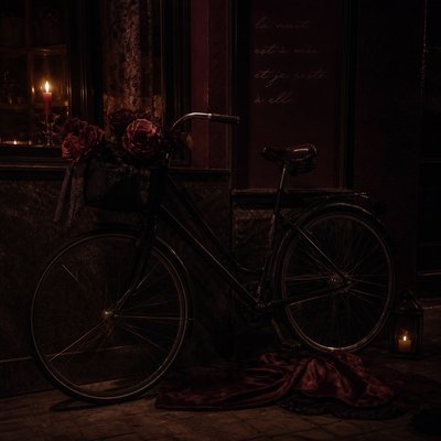bicyle resting against a wall — Dark Feminine Aesthetic