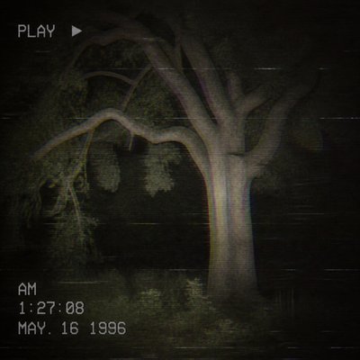 a tree in nature