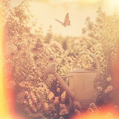 a garden scene with butterflies, flowers and a watering can, clean uncolored line art, no text