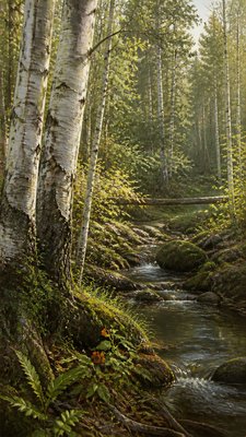 a serene birch forest in soft morning light, no people, no text