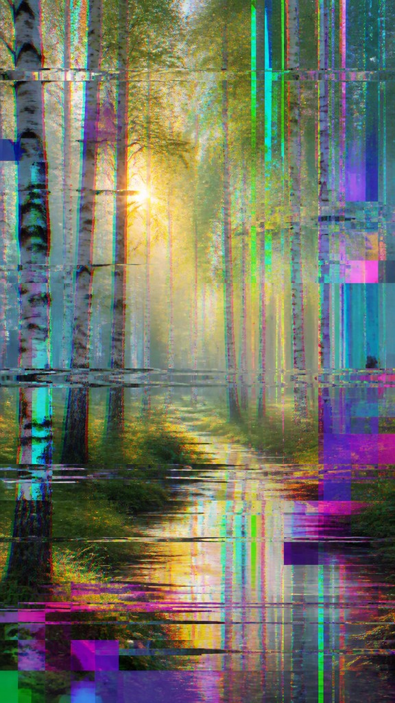 a serene birch forest in soft morning light, no people, no text