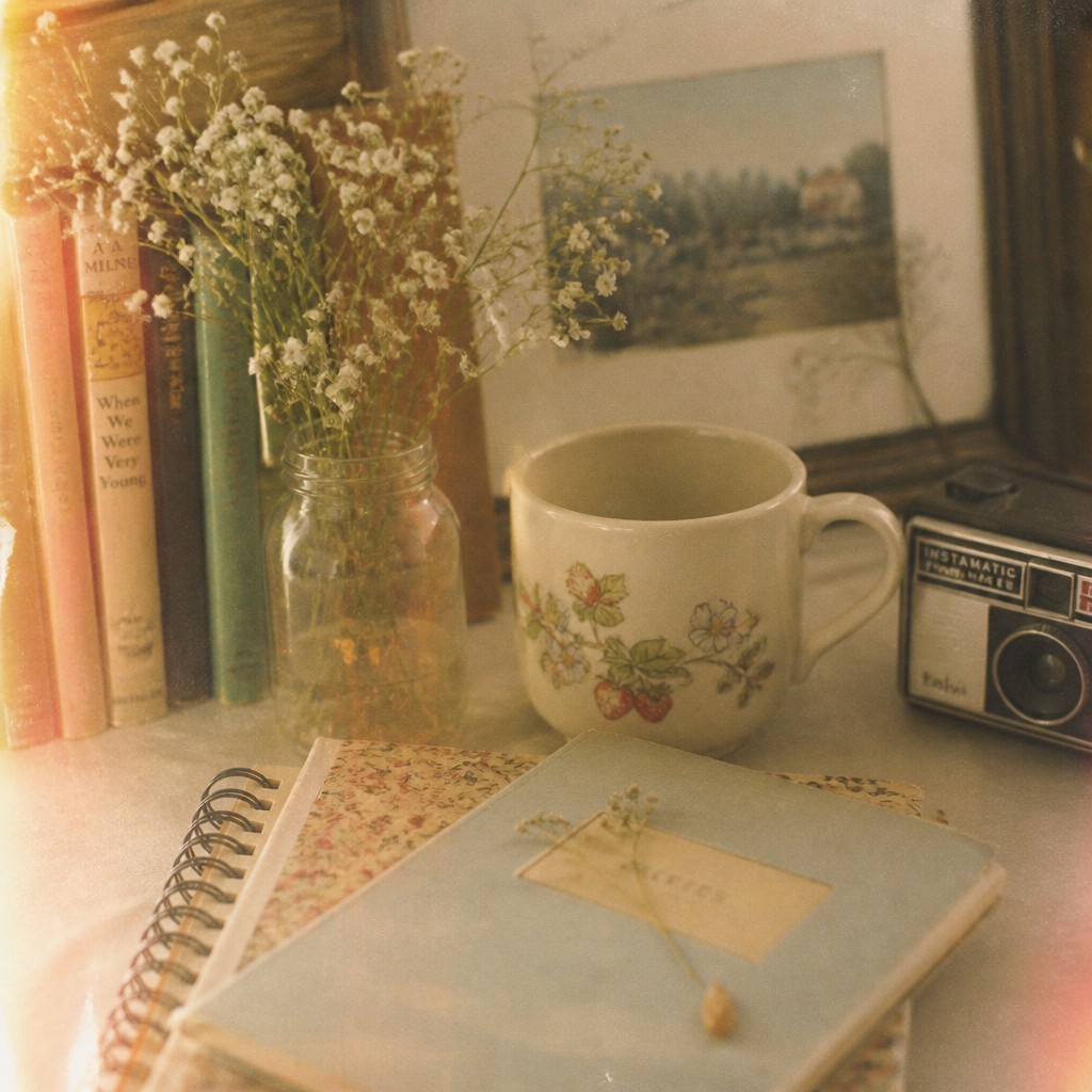 still life with everyday objects — Nostalgiacore Aesthetic