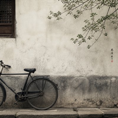 bicyle resting against a wall — Elegant Asymmetry Art Style