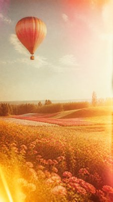 a hot air balloon drifting over rolling flower fields on a sunny day, cheerful, no text